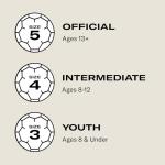 WILSON Traditional Soccer Ball - Size 5, Black/White