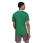 adidas Men's Entrada 22 Jersey, Team Green/White, Large