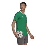 adidas Men's Entrada 22 Jersey, Team Green/White, Large