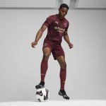 Men’s Manchester City FC 2024/25 Replica Third Soccer Jersey - Burgundy - Size: M