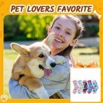 Zmart Socks for Girls: Crew, Animal Theme, 5 Pairs, Ages 4-7 Years, Corgi Chicken Llama Sloth, Funny Gifts for Kids