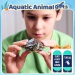 HAPPYPOP Kids Turtle Gifts Boys - Funny Socks for Kids 7-9 Years, Boys Novelty Socks Childrens Sea Turtle Socks