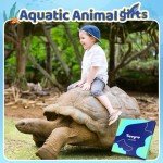 HAPPYPOP Kids Turtle Gifts Boys - Funny Socks for Kids 7-9 Years, Boys Novelty Socks Childrens Sea Turtle Socks