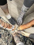MarJunSep White Elephant Gifts for Adults Kids Funny Animal Paw Socks Silly Gag Gifts Christmas Stocking Stuffers (US, Alpha, One Size, Dinosaur Cat Tiger Leopard Eagle Dog Orange Cat Camel)