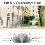 CARFIA Retro Polarized Sunglasses for Men UV Protection Hand-crafted Acetate Frame Fashion Cool Sun Glasses Green Lens