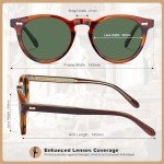 CARFIA Retro Acetate Polarized Sunglasses for Men UV Protection, Classic Round Vintage Sunnies with Gold Filigree CA5506