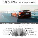 CARFIA Modern Sunglasses Men Polarized Retro Panto Style Rich Color Acetate Shades