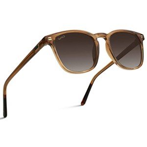 WMP Eyewear - Men's Polarized Modern Rounded Square Sunglasses