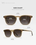 WMP Eyewear - Men's Polarized Modern Rounded Square Sunglasses