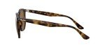 Ray-Ban RB4306 Hexagonal Sunglasses, Light Havana/Polarized Brown, 54 mm