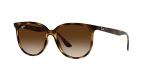 Ray-Ban Womens RB4378 Square Sunglasses, Havana/Gradient Brown, 54 mm