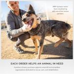 WearMe Pro Round Polarized Sunglasses for Women - Retro Classic UV400 Protection for Driving & Everyday Wear (Crystal Green Frame/Black Lens)