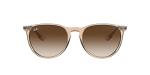 Ray-Ban Unisex RB4171 Erika Round Sunglasses, Transparent Light Brown/Brown Gradient Dark Brown, 54 mm