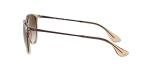Ray-Ban Unisex RB4171 Erika Round Sunglasses, Transparent Light Brown/Brown Gradient Dark Brown, 54 mm