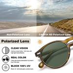CARFIA Retro Polarized Sunglasses for Men UV400 Protection Handmade Acetate Round Frame CA5288L