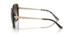 Michael Kors MK2206 Albany Sunglasses, Dark Tortoise/Brown Gradient, 55 mm