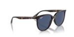 Ray-Ban Women's RB4378 Square Sunglasses, Havana/Dark Blue, 54 mm