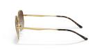Ray-Ban Unisex RB3682 Square Sunglasses, Gold/Gradient Brown, 51 mm