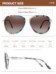 BIRCEN Polarized Sunglasses for Women UV - Protection Womens Retro Mirrored Shades with Acetate Frame BC2001