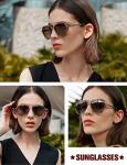 BIRCEN Polarized Sunglasses for Women UV - Protection Womens Retro Mirrored Shades with Acetate Frame BC2001