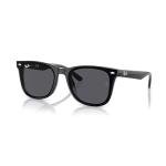 Ray-Ban RB4420 601/87 65MM Black/Dark Grey Square Sunglasses for Men for Women +BUNDLE with ACCESSORY EYEWEAR KIT