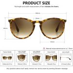 SUNGAIT Premium Vintage Round Sunglasses for Women Men Classic Retro Trendy Style