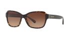 Coach Sunglasses HC 8232 550713 L1010 Dark Tortoise Brown Grad