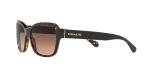 Coach Sunglasses HC 8232 550713 L1010 Dark Tortoise Brown Grad