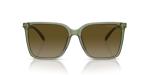 Michael Kors MK2197U Canberra Universal Fit Sunglasses, Green Transparent/Green Gradient, 56 mm