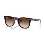 Ray-Ban RB4420 710/13 65MM Havana/Brown Gradient Square Sunglasses for Men for Women +BUNDLE with ACCESSORY EYEWEAR KIT