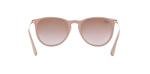 Ray-Ban RB4171 Erika Sunglasses + Vision Group Accessories Bundle (Dark Rubber Sand/Violet Gradient Brown (600068))