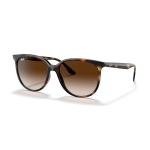 Ray-Ban RB4378 710/13 54MM Havana/Plastic Lens Brown Gradient Square Sunglasses for Women +BUNDLE with ACCESSORY EYEWEAR KIT