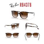 Ray-Ban RB4378 710/13 54MM Havana/Plastic Lens Brown Gradient Square Sunglasses for Women +BUNDLE with ACCESSORY EYEWEAR KIT