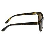 Foster Grant Sutton Polarized Sunglasses For Women, Brown Tortoise Shell Sunglasses