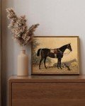 ARPEOTCY Framed Canvas Horse Wall Art, Vintage Classic Horse Art Prints for Home Decor, Rustic Farmhouse Country Wall Decor for Living Room, Bathroom, Office, Bedroom, 9"x11"