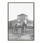 Kate and Laurel Sylvie Modern Farmhouse Horse Wall Art by Patricia Rae Photography, 23x33 Gray, Decorative Rustic Art for Wall