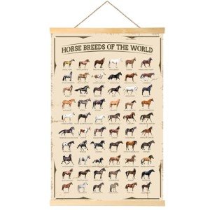 EIHFHIE Horse Gifts for Girls Horse Poster Horse Knowledge Horse Breeds of The World Poster Horse Pictures Wall Decor Gifts for Horse Lovers 16x25 In