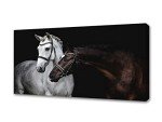 Jiuqinghua Wall Art Canvas Print Picture White and Brown Horses 1 Panel Wild Animal Painting Artwork for Living Room Bedroom Office Home Wall Decor Stretched and Framed Ready to Hang 30x60inches
