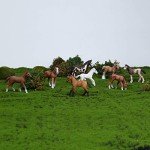 UANDME 8PCS Realistic Foal and Horse Figurines, Plastic Pony Toys for Girls and Boys, Horse Club Cake Topper and Party Decoration