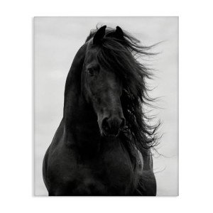 Stupell Industries Black Stallion Horse Portrait Soft Grey Sky Photography, Design by Carol Walker Canvas Wall Art, 16 x 20