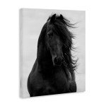Stupell Industries Black Stallion Horse Portrait Soft Grey Sky Photography, Design by Carol Walker Canvas Wall Art, 16 x 20