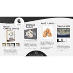 Stupell Industries Black Stallion Horse Portrait Soft Grey Sky Photography, Design by Carol Walker Canvas Wall Art, 16 x 20