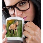 3dRose Quarter Horse-Two Tone Black Mug, 11 oz, Multicolored