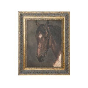 Petal Lane Farmhouse Wall Decor - Framed Antique Decor - Make Your Own Gallery Wall Frame Set - Dark Academia Wall Decor - Modern Farmhouse Decor (Horse Portrait)