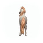 Schleich Horse Club - Andalusian Stallion - 5" Hand-Painted Collectable, Realistic Toy Horse Figurine for Girls and Boys. Durable Educational Figure for Fun Imaginative Play. Kids Toys Ages 5+ 14894