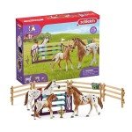 Schleich Horse Club - 17PC - Lisa's Tournament Training Horse Toy Set with 3 Horses and Accessories - Realistic Stallion, Mare, Foal Figurines for Girls and Boys - Farm Toys for Kids Ages 5+ - 42433