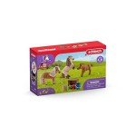 Schleich Horse Club - 8 PC Miniature Shetland Pony Family Playset with 3 Horses and Accessories - Collectable Farm Animal Figurines - Realistic Mini Horse Toys for Girls and Boys - Kids Ages 5+