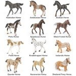 zoopal 12PCS 3-5" Horse Foal Toys Set for Boy Girl 3-5 5-7 6-8, Realistic Animal Figurines Toys for Toddlers, Horse Party Favor Birthday Decorations Gift for Kids