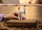 Schleich Horse Club - Marwari Foal - 3" Hand-Painted Collectable, Realistic Toy Horse Figurine for Girls and Boys. Durable Educational Figure for Fun Imaginative Play. Cool Kids Toys Ages 5+ 14896