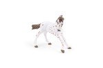 Papo - Hand-Painted - Figurine - Horses,Foals and Ponies - Brown Appaloosa Foal Figure-51510 - Collectible - for Children - Suitable for Boys and Girls - from 3 Years Old